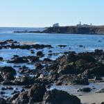 Cambria_2015_0164 (November 07, 2015)